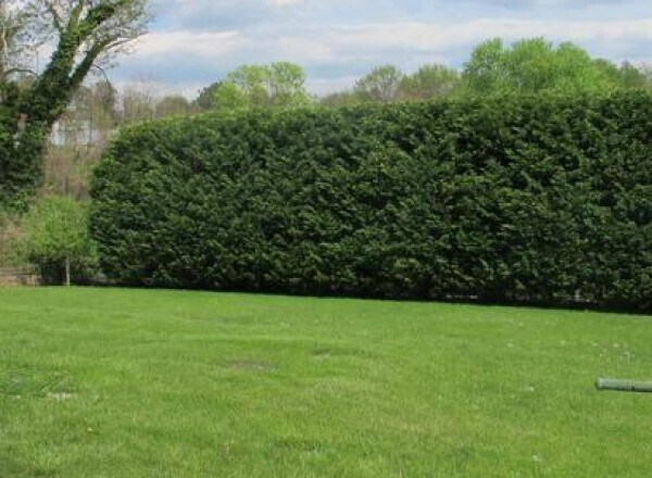 201 Elm St in Warrenton, VA - Building Photo - Building Photo