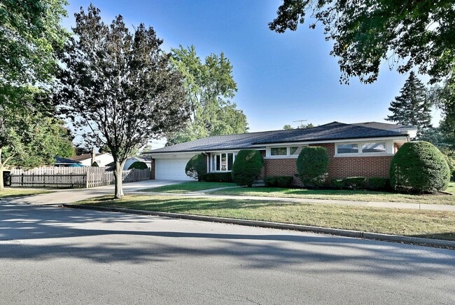 236 W Adams St in Elmhurst, IL - Building Photo - Building Photo