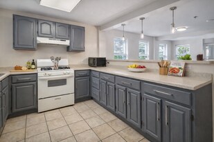 213-215 Columbia St in Ithaca, NY - Building Photo