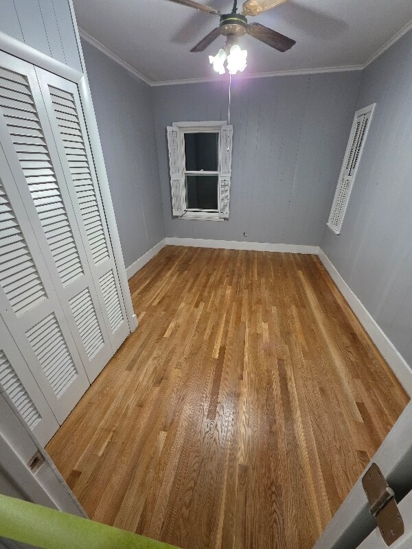11 Shamrock St in Worcester, MA - Building Photo - Building Photo