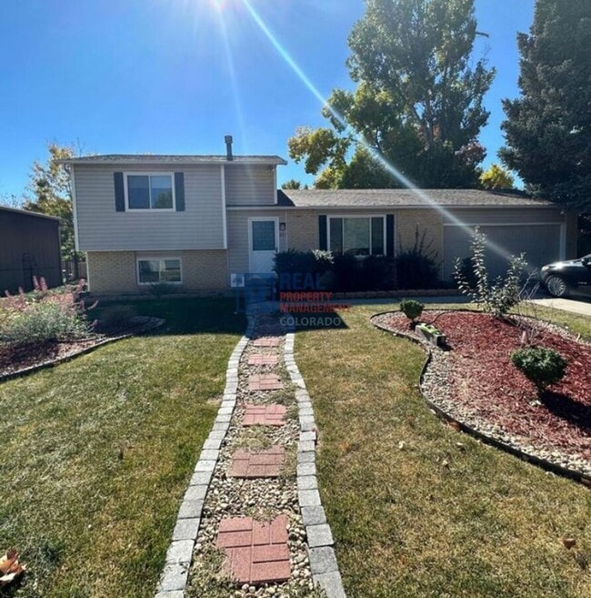 831 Winchester Dr in Fort Collins, CO - Building Photo - Building Photo