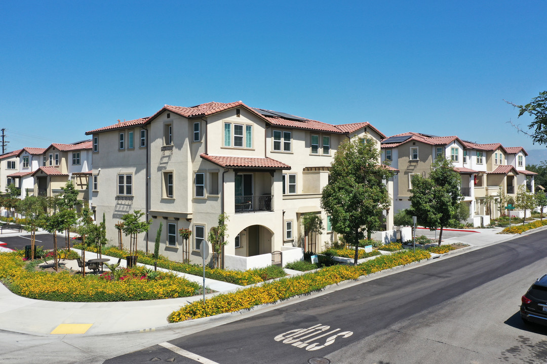 Dahlia Townhomes in Pico Rivera, CA - Building Photo