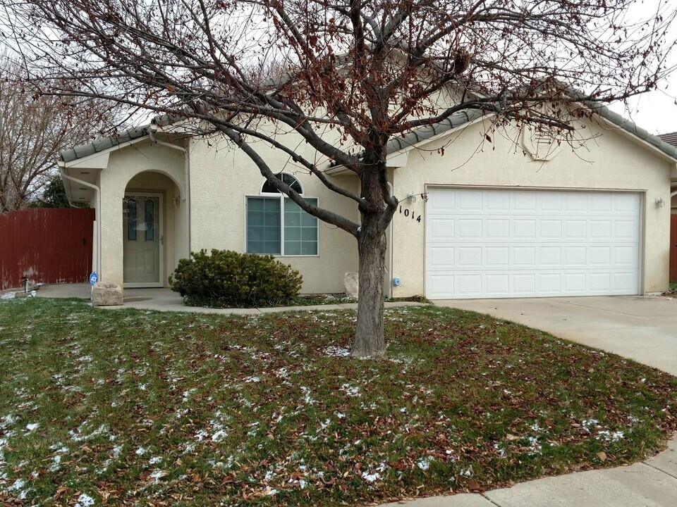 1014 Pinecrest Dr in Pueblo, CO - Building Photo