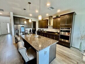 2990 Marine Grass Dr in Wimauma, FL - Building Photo - Building Photo