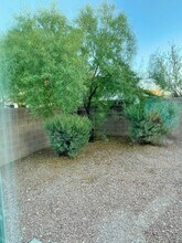11429 Drappo Ave in Las Vegas, NV - Building Photo - Building Photo