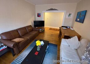 170 Thorndike St in Brookline, MA - Building Photo