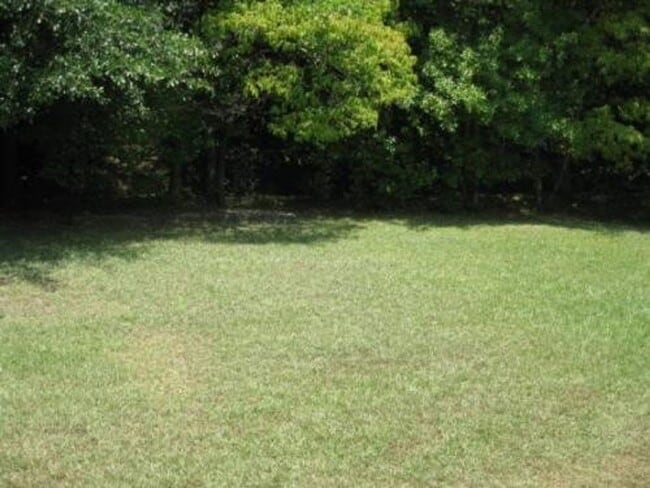 8674 Bowden St in Douglasville, GA - Building Photo - Building Photo
