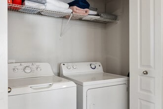 15 W Villa Rita Dr in Phoenix, AZ - Building Photo - Building Photo