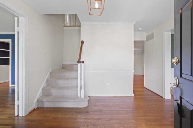 892 Van Dusen Ct in Great Falls, VA - Building Photo - Building Photo