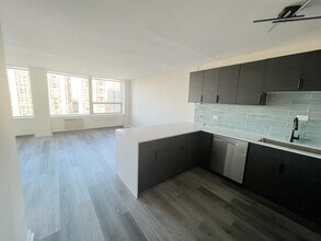 1360 N Sandburg Terrace in Chicago, IL - Building Photo - Building Photo