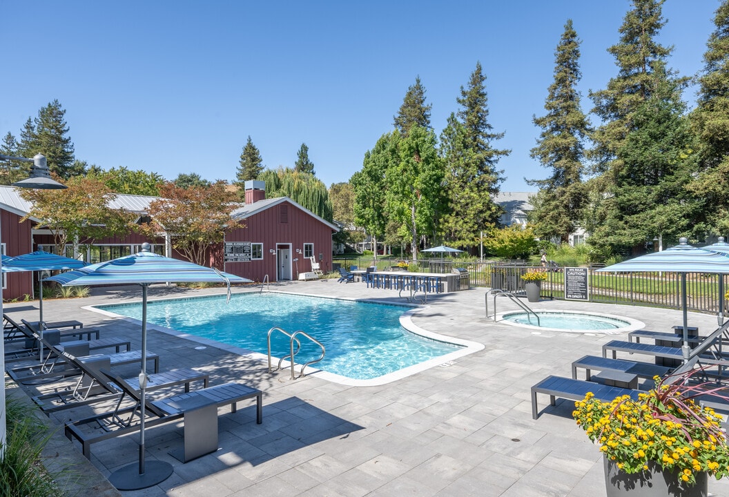 Cotton Wood in Dublin, CA - Building Photo