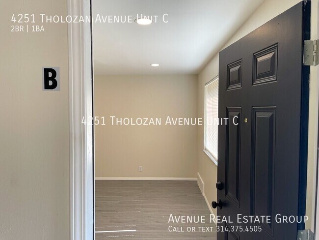 4251 Tholozan Ave in St. Louis, MO - Building Photo - Building Photo