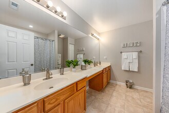 2484 Warm Springs Ln in Naperville, IL - Building Photo - Building Photo