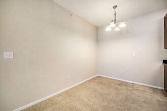3045 Blue Sky Cir in Erie, CO - Building Photo - Building Photo