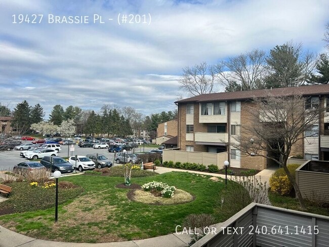 19427 Brassie Pl in Montgomery Village, MD - Building Photo - Building Photo