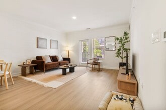 The Alexander in Albany, NY - Building Photo - Building Photo