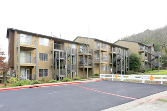 Crooked Oak at Loma Verde Preserve Apartme... in Novato, CA - Building Photo - Building Photo