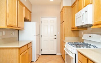 1247 Highbluff Ave in San Marcos, CA - Building Photo - Building Photo