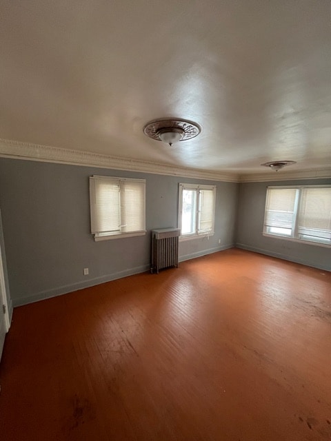 17303 Runyon St in Detroit, MI - Foto de edificio - Building Photo