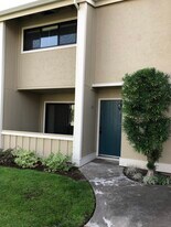 818 Juno Ln in Foster City, CA - Building Photo