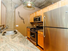1070 W 15th St-Unit -209 in Chicago, IL - Building Photo - Building Photo