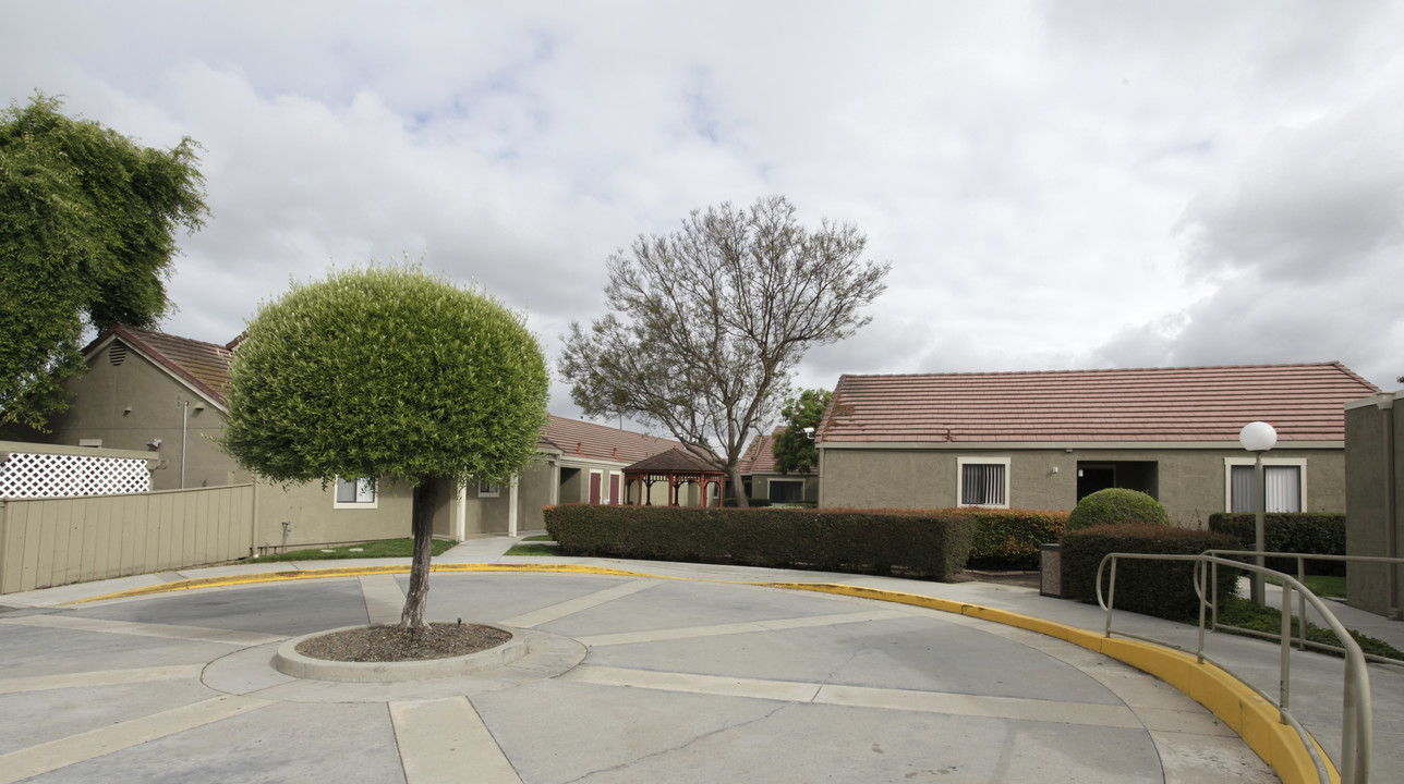 Olive Tree Plaza in Hayward, CA - Building Photo