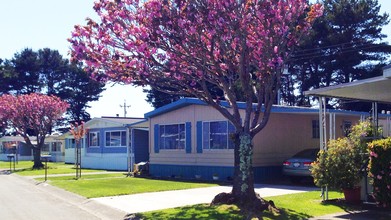 Lazy J Ranch in Arcata, CA - Foto de edificio - Building Photo