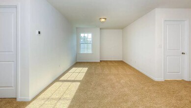 349 Tavernier Ln in Candler, NC - Building Photo - Building Photo