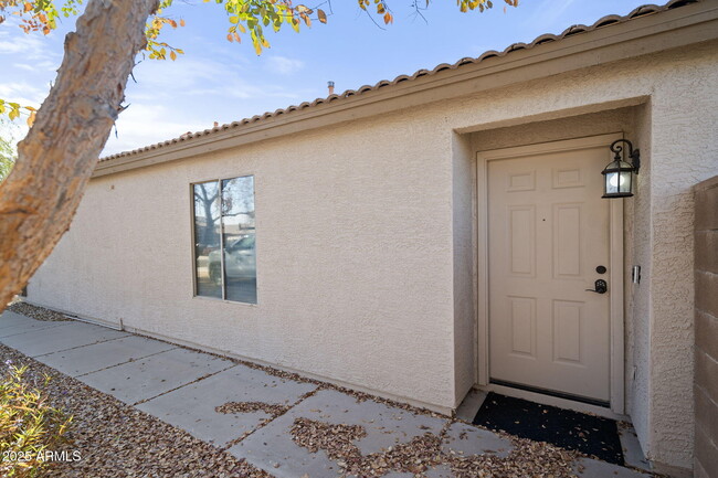 10782 W Robin Ln in Sun City, AZ - Building Photo - Building Photo