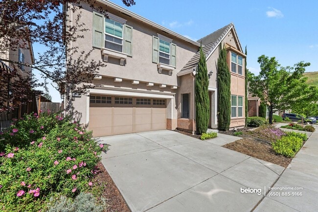 property at 6856 Syrah Dr