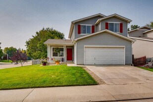 979 Wolf Creek Dr in Longmont, CO - Building Photo