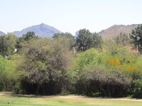 12212 N Paradise Vlg Pkwy S