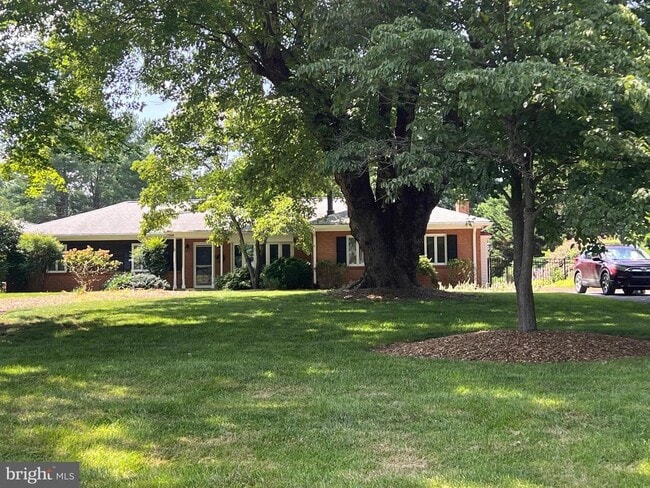 property at 245 Treeline Dr