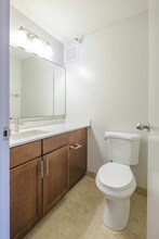 163 N Harbor Dr in Chicago, IL - Foto de edificio - Building Photo