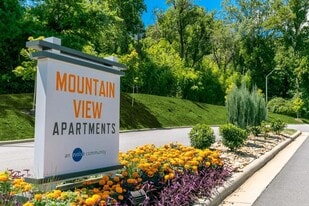 Mountain View in Asheville, NC - Building Photo