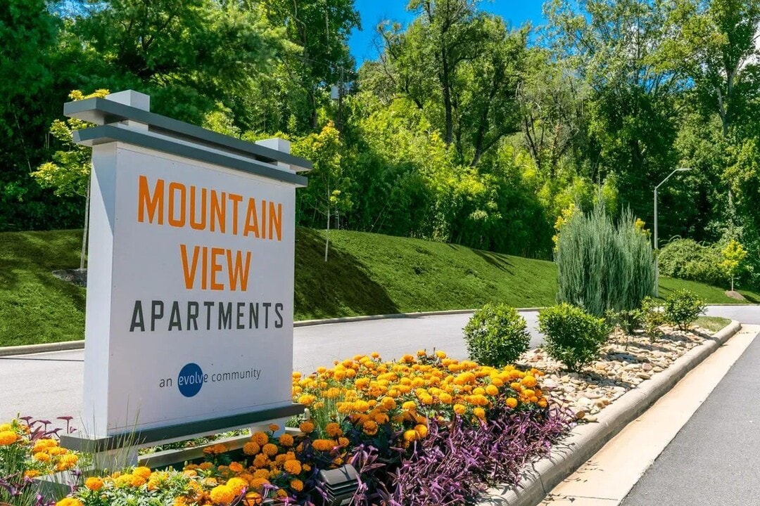 Mountain View in Asheville, NC - Building Photo