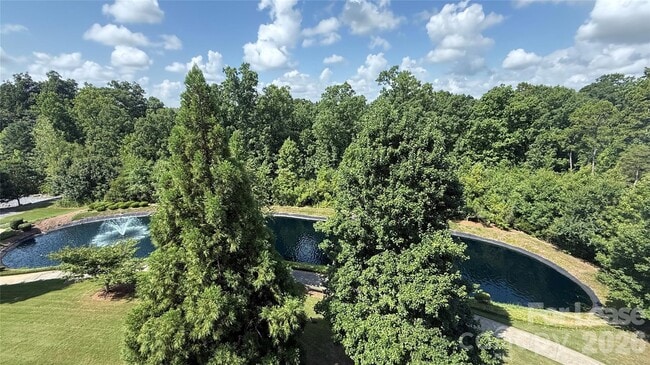 property at 14668 Via Sorrento Dr