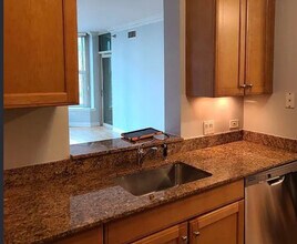 25 E Superior St in Chicago, IL - Building Photo - Building Photo