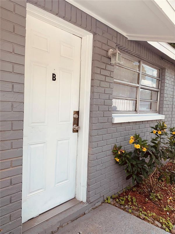 8807 N Mulberry St in Tampa, FL - Building Photo - Building Photo