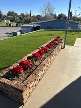 Twin Pines Mobile Home Park in Yucaipa, CA - Building Photo - Building Photo