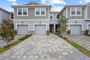 4160 Cloud Hopper Wy in Lutz, FL - Building Photo