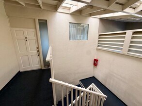 24 Andrew Dr in Tiburon, CA - Building Photo - Building Photo