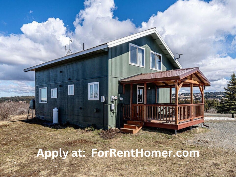 41075 Bidarki Dr in Homer, AK - Building Photo