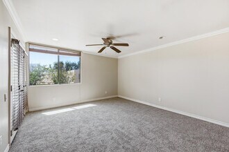 4120 N 78th St in Scottsdale, AZ - Building Photo - Building Photo