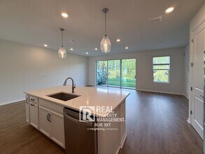 17228 Balance Cv in Land O Lakes, FL - Building Photo - Building Photo