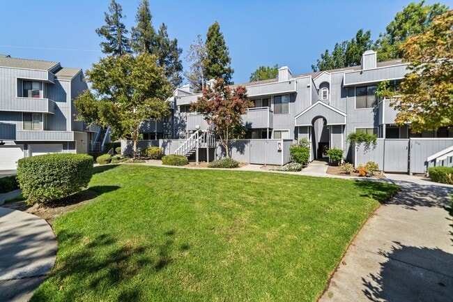 906 La Barbera Dr in San Jose, CA - Building Photo - Building Photo