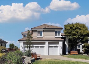 262 Canyon Lakes Pl in San Ramon, CA - Building Photo