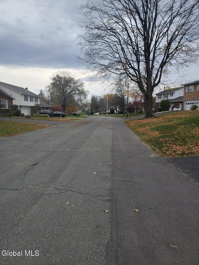 15 Prospect Terrace in Albany, NY - Building Photo - Building Photo