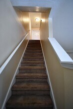 11016 Black Swan Ct in Seffner, FL - Building Photo - Building Photo