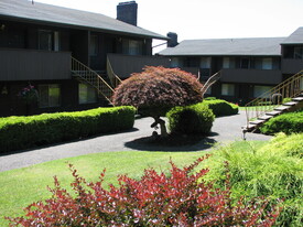 The Colony Senior Living Apartments